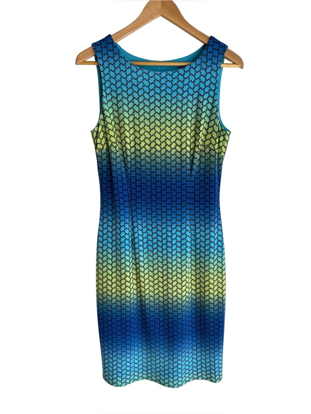 Frank Lyman Sleeveless Stretch Cocktail Dress Sz 10 Office Casual Classy Fitted
